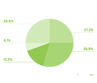 ukraine it job experience